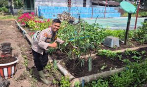 IMG-20260601-WA0023